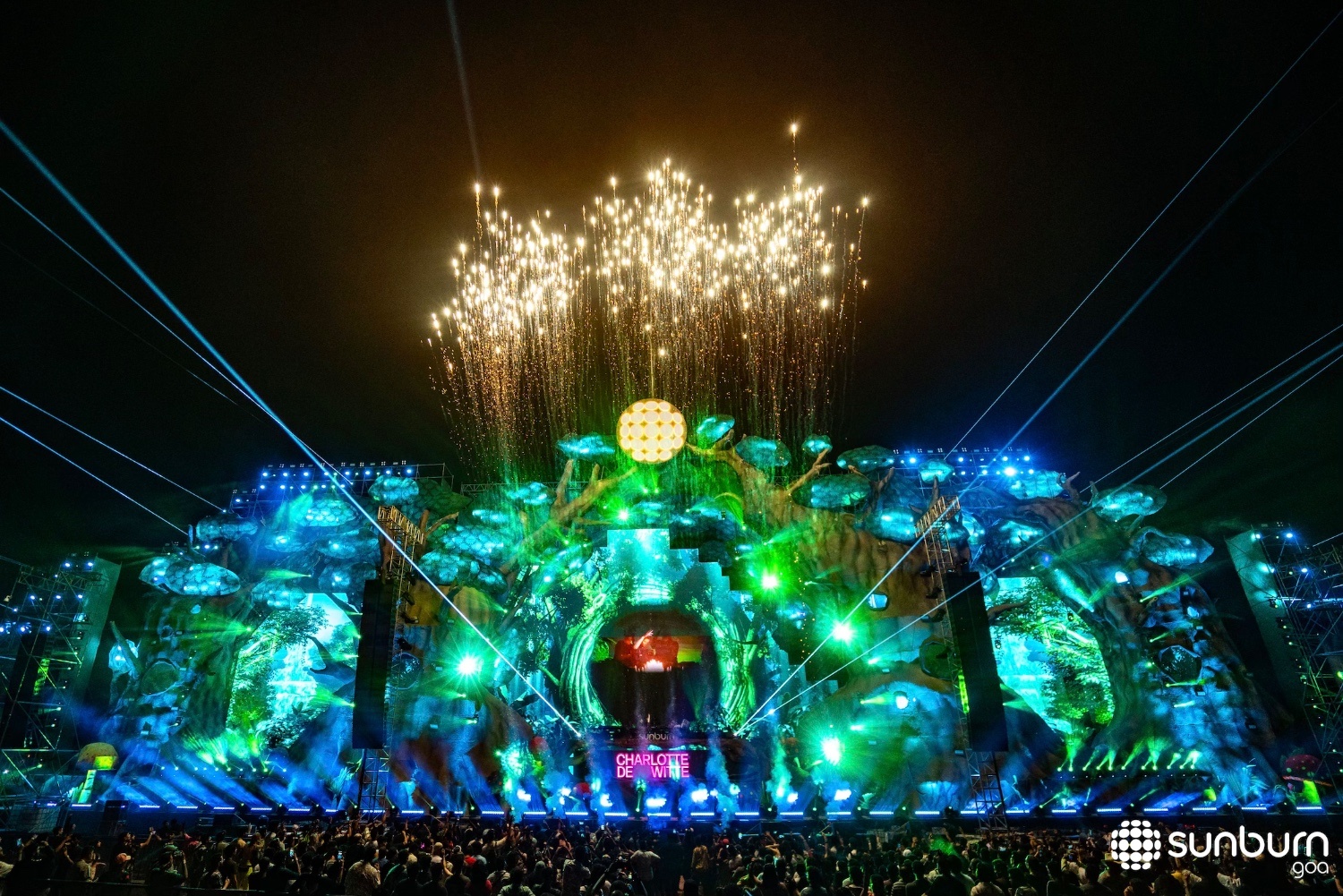 Sunburn Festival film 1